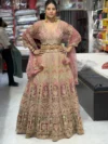 Pink Embellished Lehenga
